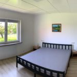 Zimmer Lerchensporn