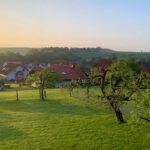 Ausblick aus dem Fenster