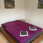 Zimmer Wilde Karde